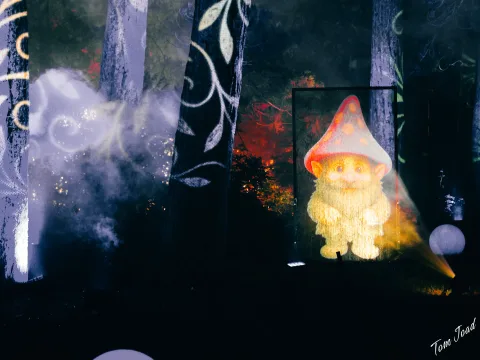 Night Lights