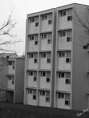Contrast and Perspective